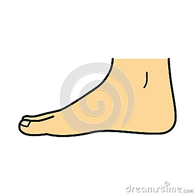 Bare foot, side view, illustration Cartoon Illustration